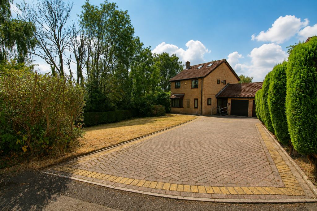 Main Image